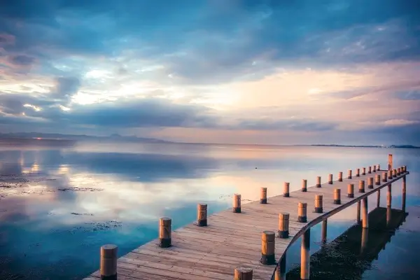 酸奶不粘锅美食做法窍门