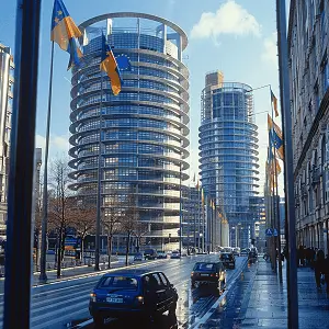 崇明蔬菜做法美食介绍