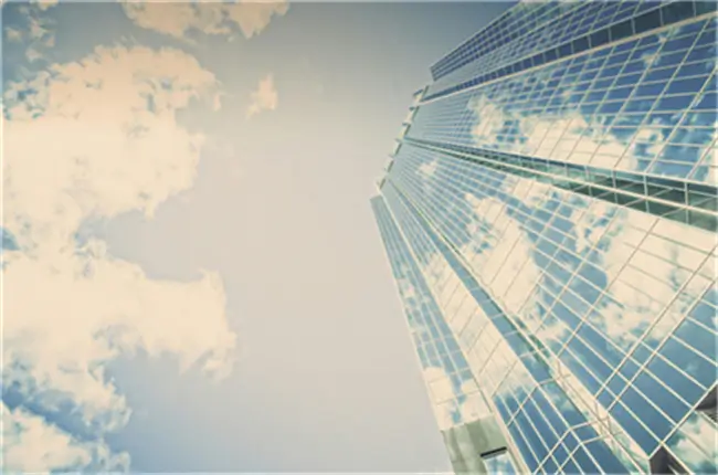 楼金阳美食做法视频