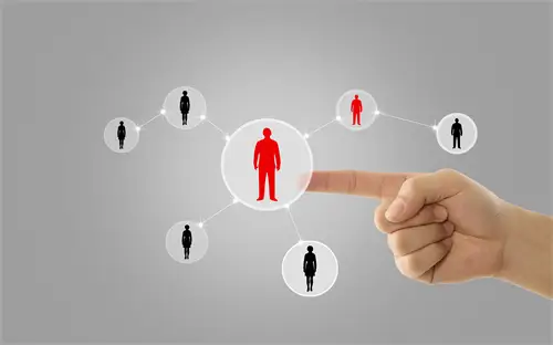 圆白菜美食做法大全