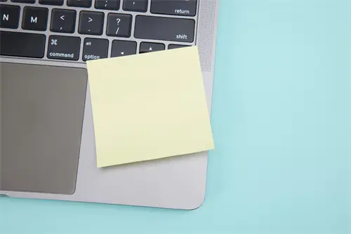 东莞美食猫家常做法